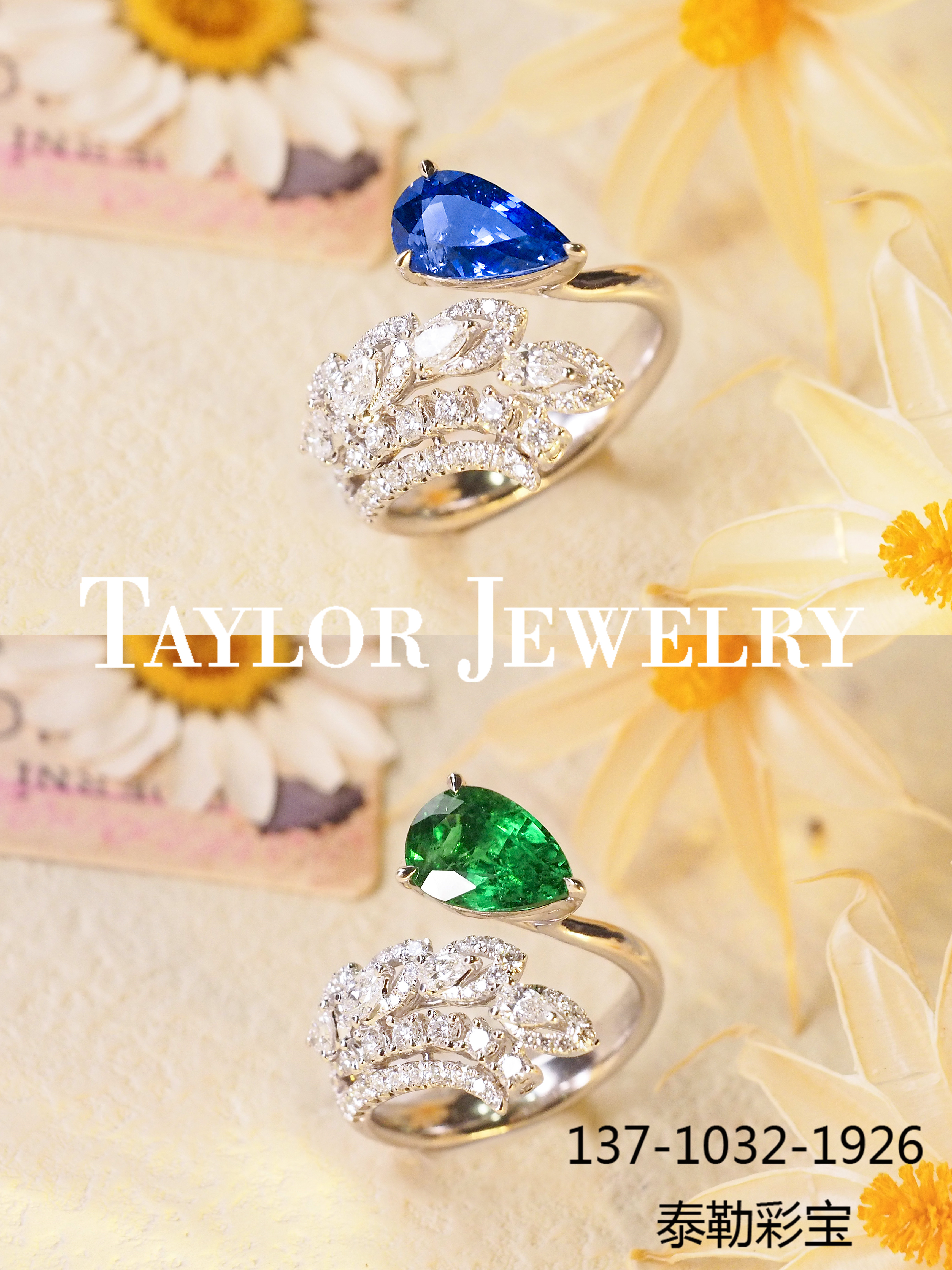 凤凰羽翎，落入凡间的守护神